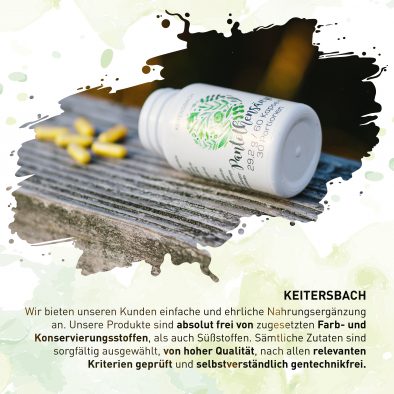 7 Philosophie Kopie